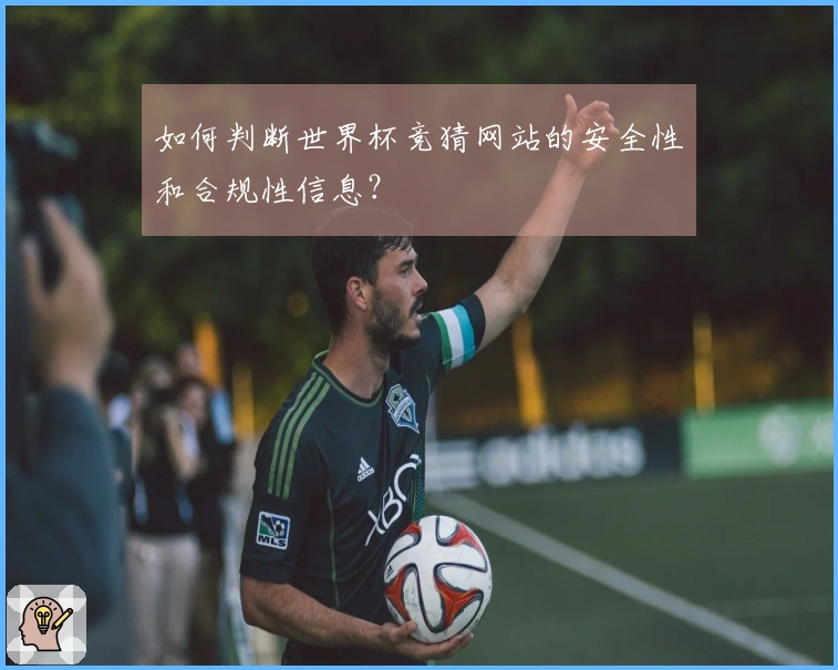 如何判断世界杯竞猜网站的安全性和合规性信息？