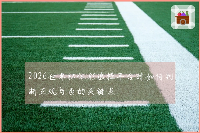 2026世界杯体彩选择平台时如何判断正规与否的关键点
