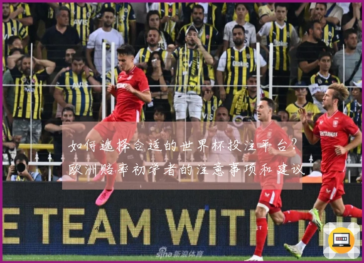 如何选择合适的世界杯投注平台？欧洲赔率初学者的注意事项和建议